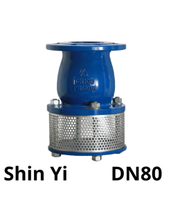 Rọ bơm Shin Yi DN80