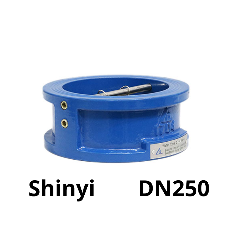 Van 1 chiều bướm Shinyi DN250 8 Van 1 chiều bướm Shinyi DN250