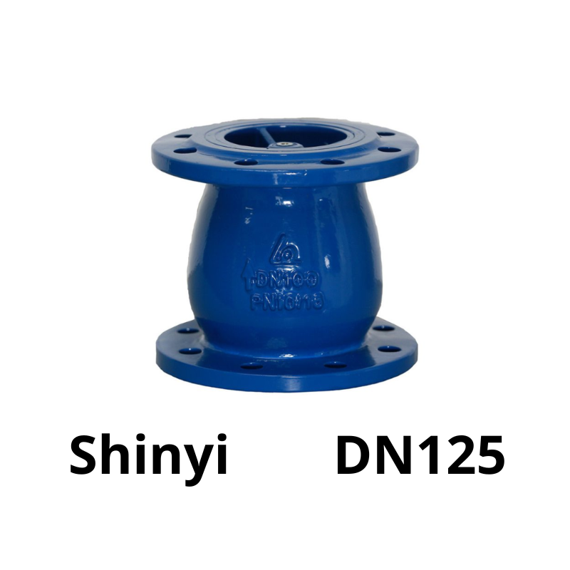 Van 1 chiều lò xo Shinyi DN125 4 Van 1 chiều lò xo Shinyi DN125