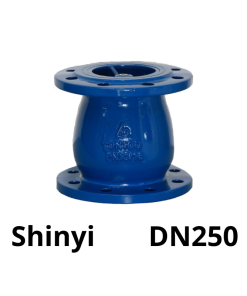 Van 1 chiều lò xo Shinyi DN250