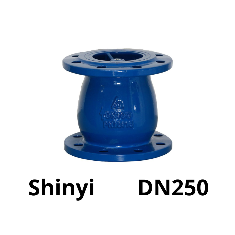Van 1 chiều lò xo Shinyi DN250 4 Van 1 chiều lò xo Shinyi DN250
