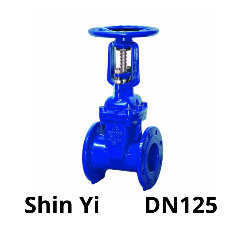 Van cổng ty nổi ShinYi DN125 6 Van cổng ty nổi Shin yi DN125