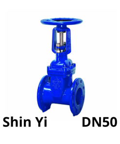 Van cổng ty nổi Shin yi DN50