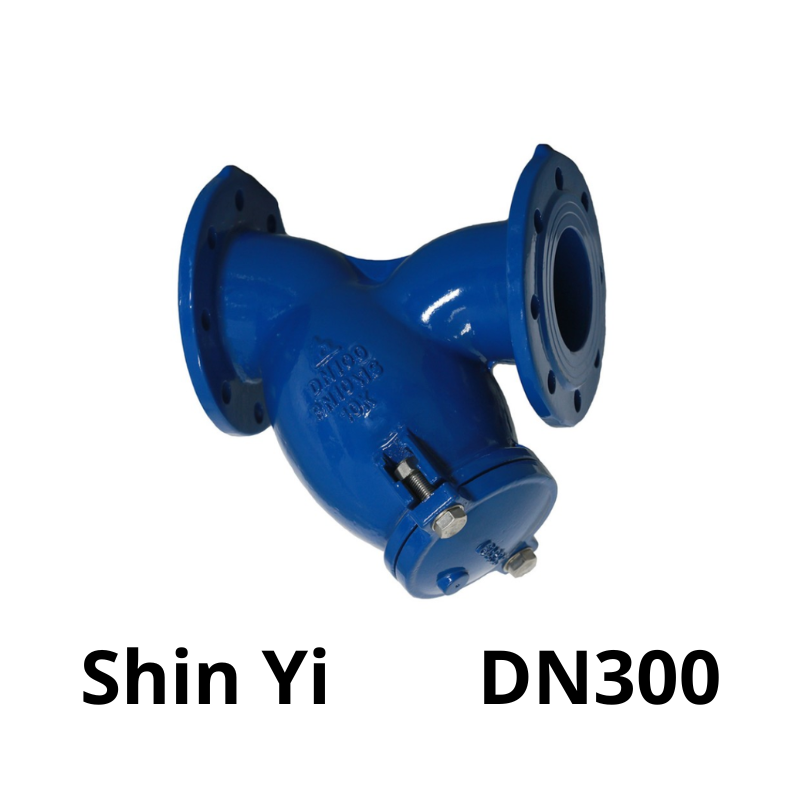 Van y lọc ShinYi DN300 6 Van y lọc ShinYi DN300