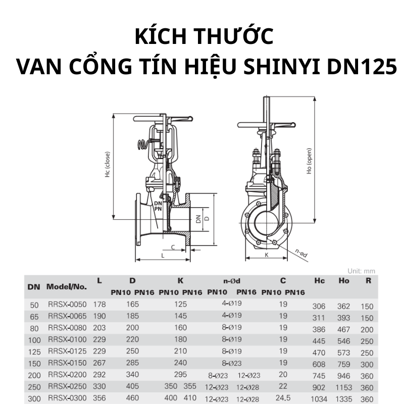 Van cổng tín hiệu ShinYi DN125 13 Van cổng tín hiệu ShinYi DN125
